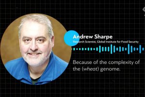 The Invention of Agriculture as a Technology of the 'Gods'